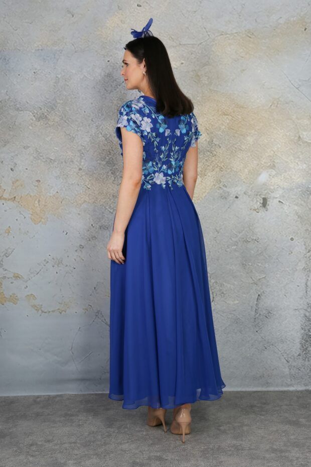 Delphinium, photo 2