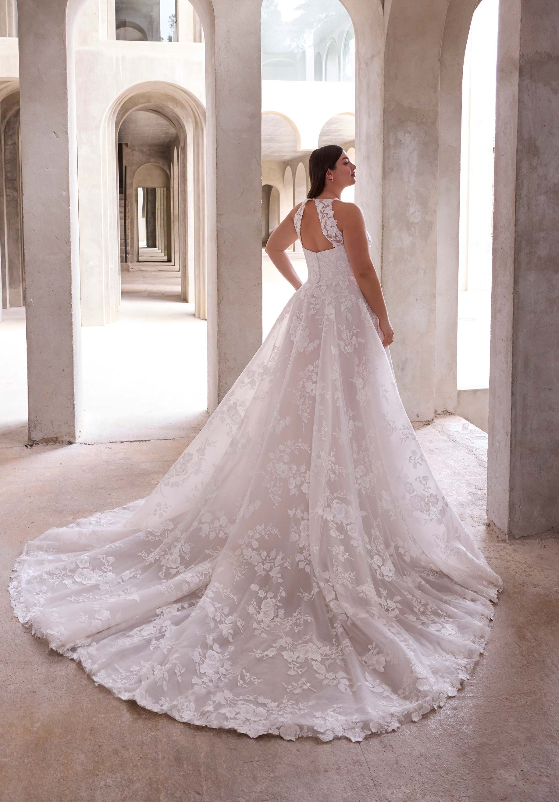 Lacey, photo 3